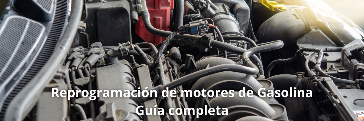 Reprogramación de motores de gasolina